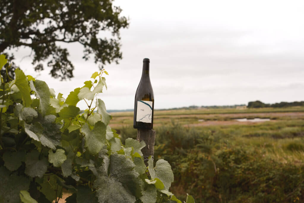 etiquettes-bouteilles-la-vigne-et-l-abeille-2026